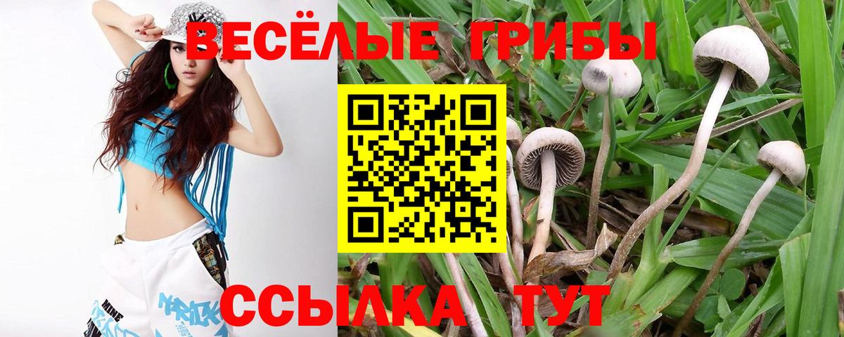 Псилоцибиновые грибы мухоморы Королёв