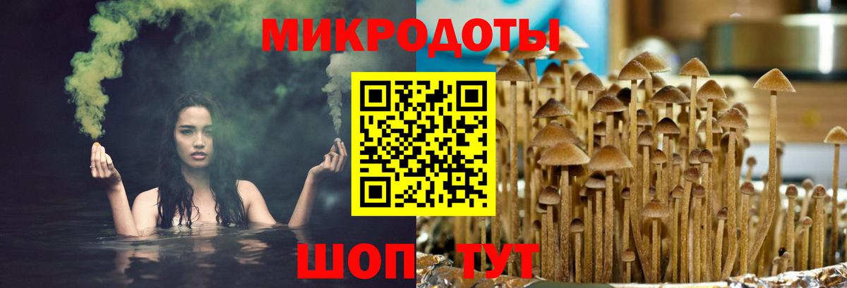 Королёв  Галлюциногенные грибы GOLDEN TEACHER  Вход с VPN 